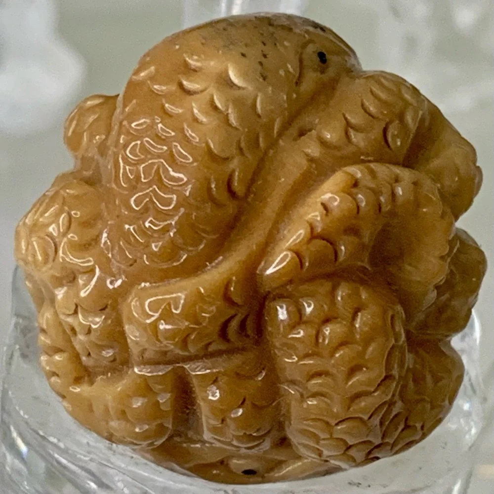 Vintage NETSUKE Carved Tagua Nut Snake Reptile Carving Bead Figurine Japanese
